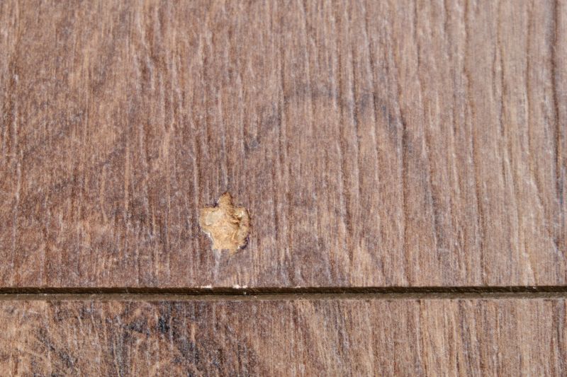 Wood Floor Repair Image 3