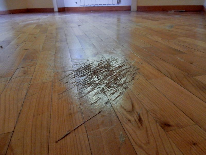 Wood Floor Repair Service