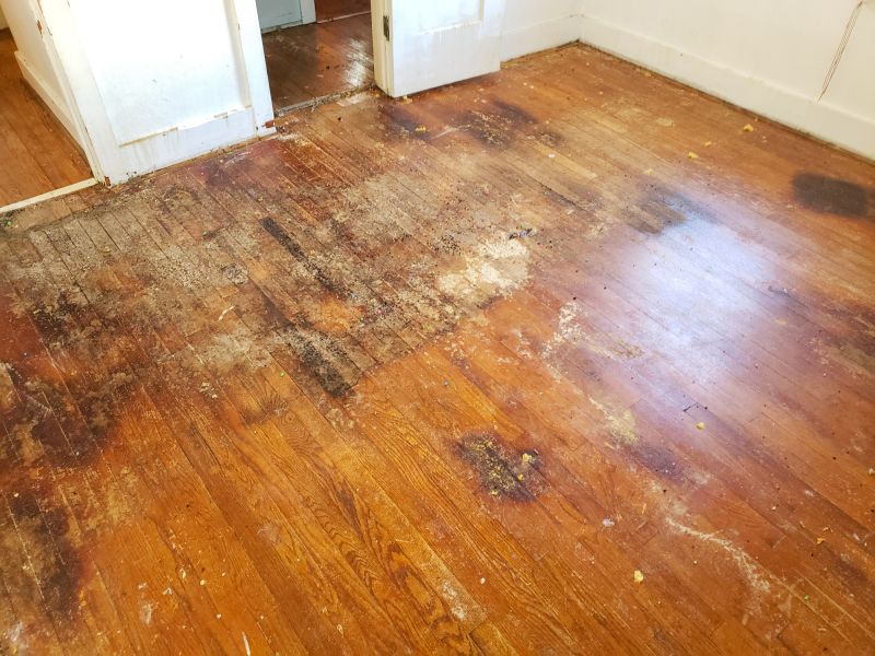 Wood Floor Repair Service